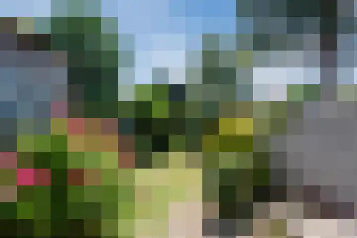 Hogeweg 23 Katwijk thumbnail 37