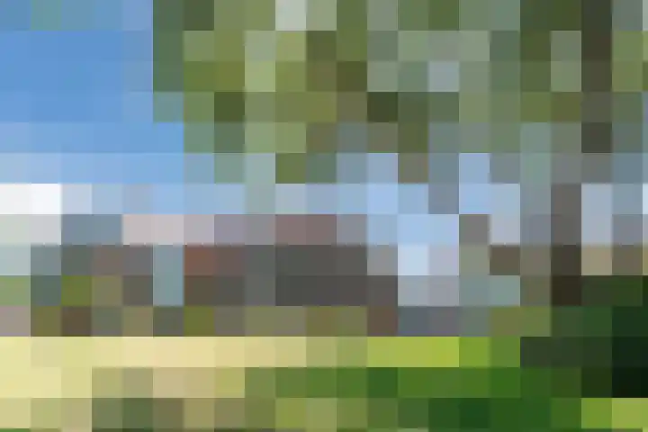 Hogeweg 23 Katwijk thumbnail 42