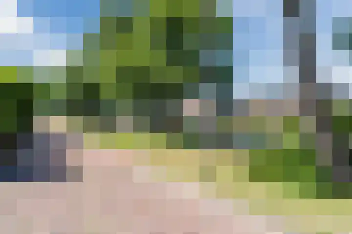 Hogeweg 23 Katwijk thumbnail 43