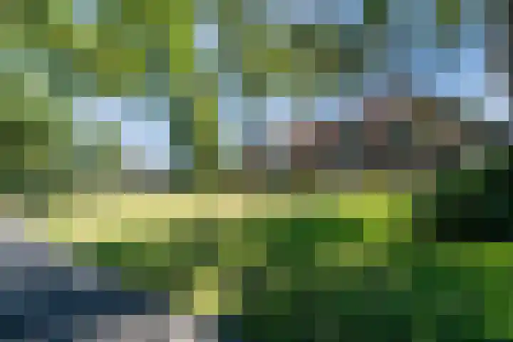 Hogeweg 23 Katwijk thumbnail 44
