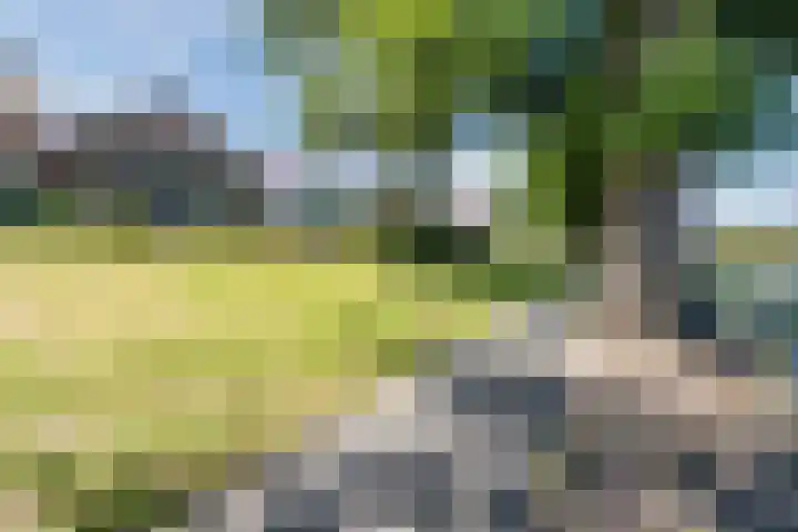 Hogeweg 23 Katwijk thumbnail 45