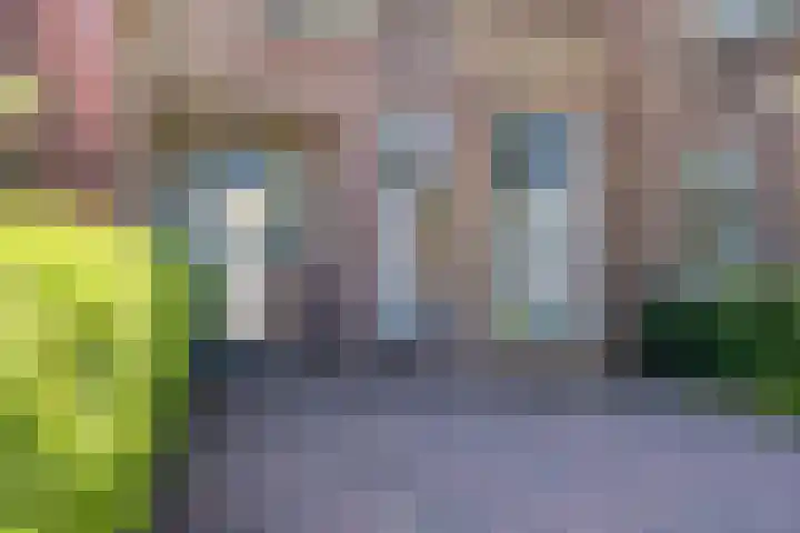 Hogeweg 23 Katwijk thumbnail 6