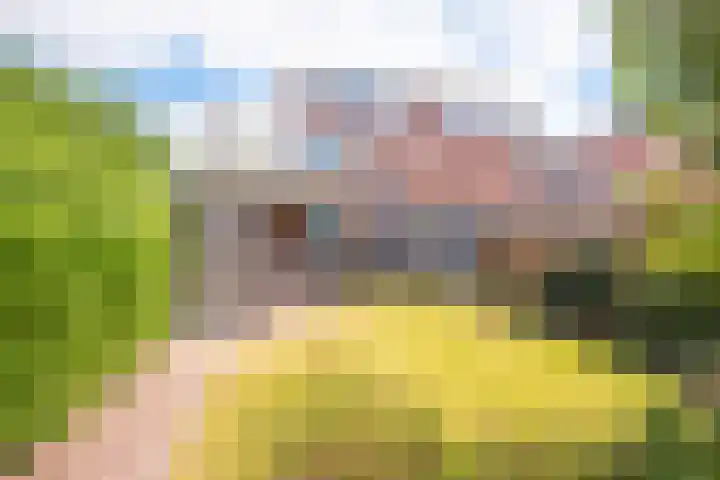 Hogeweg 23 Limmen thumbnail 36