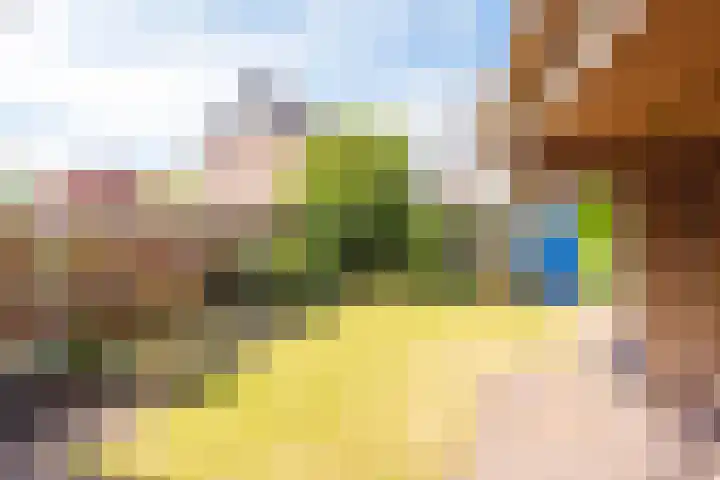 Hogeweg 23 Limmen thumbnail 38