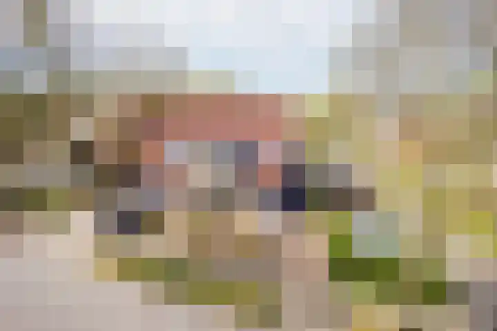 Hogeweg 23 Limmen thumbnail 39