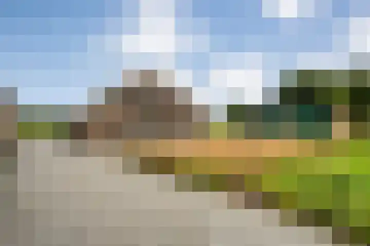 Hogeweg 23 Raalte thumbnail 11