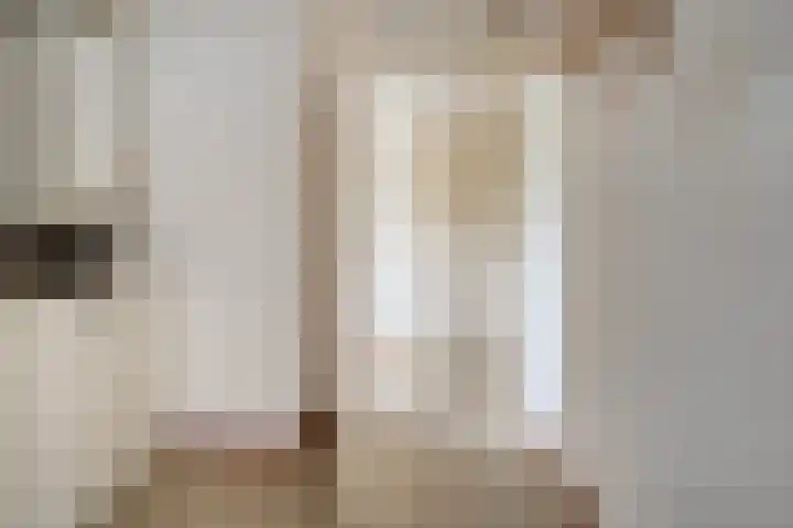 Hogeweg 23 Raalte thumbnail 19