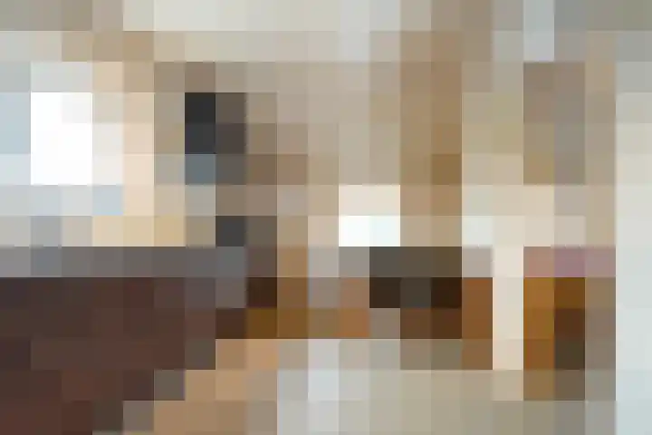 Hogeweg 23 Raalte thumbnail 20