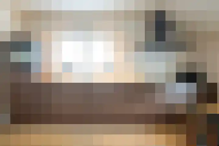 Hogeweg 23 Raalte thumbnail 22