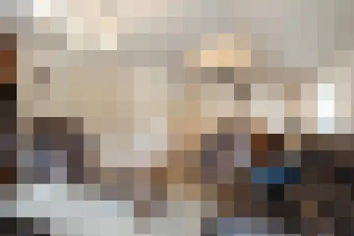 Hogeweg 23 Raalte thumbnail 25
