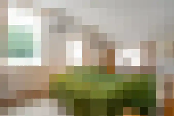 Hogeweg 23 Raalte thumbnail 28