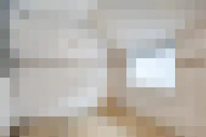 Hogeweg 23 Raalte thumbnail 30