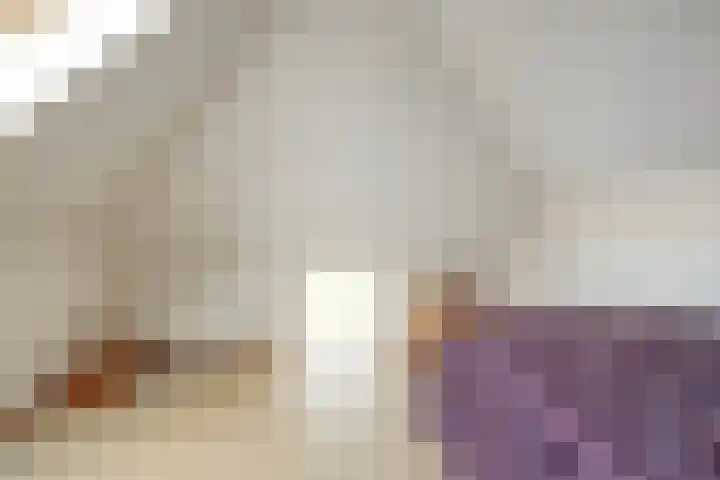 Hogeweg 23 Raalte thumbnail 34