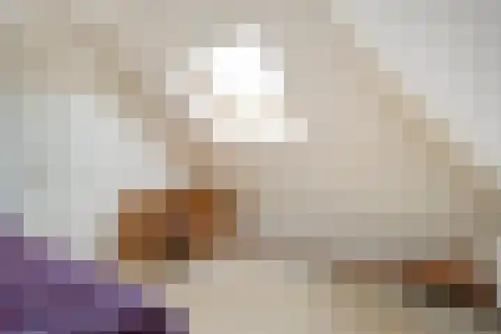 Hogeweg 23 Raalte thumbnail 35