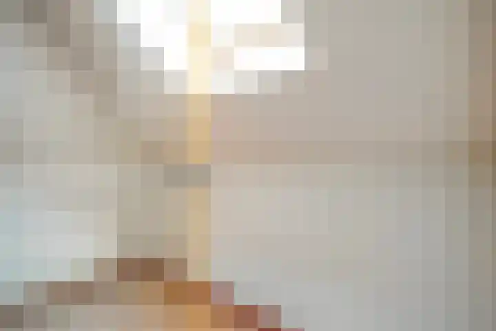 Hogeweg 23 Raalte thumbnail 36
