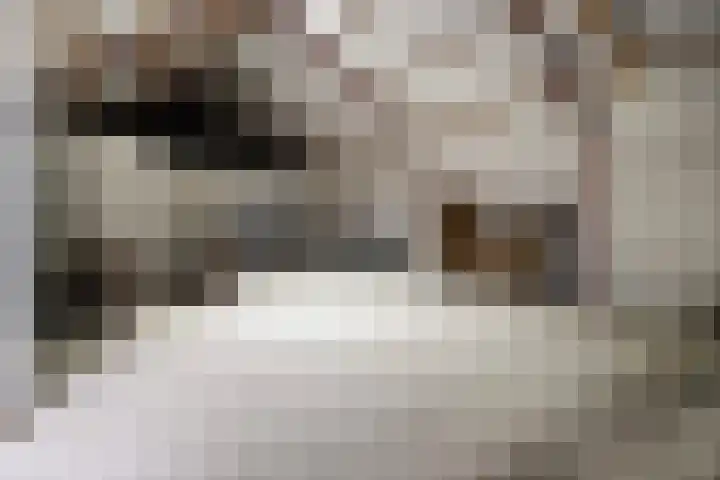 Hogeweg 23 Raalte thumbnail 39