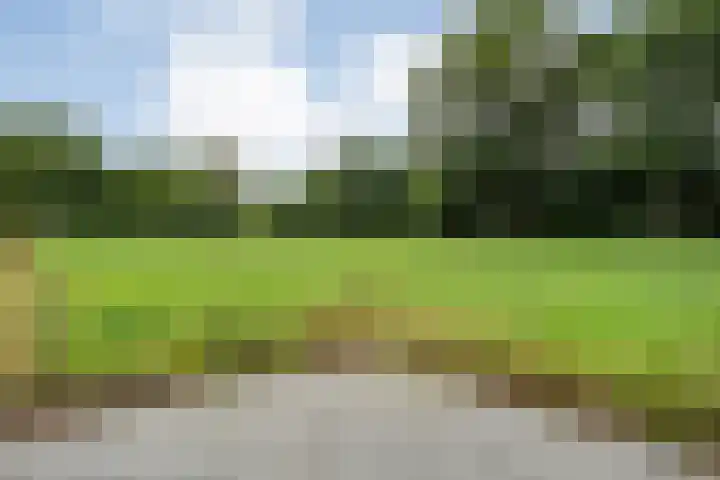 Hogeweg 23 Raalte thumbnail 47