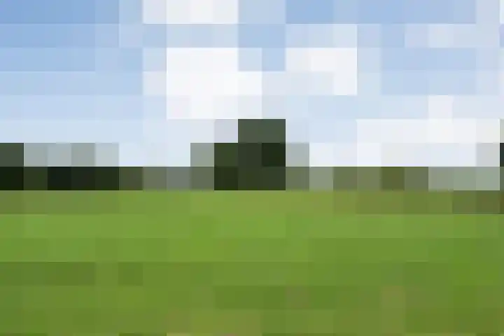 Hogeweg 23 Raalte thumbnail 48