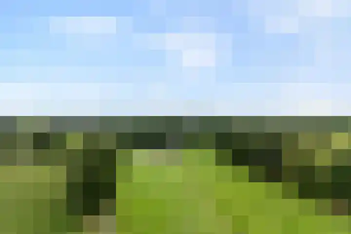 Hogeweg 23 Raalte thumbnail 49