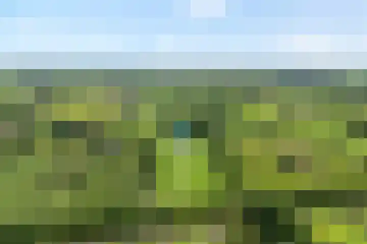 Hogeweg 23 Raalte thumbnail 5