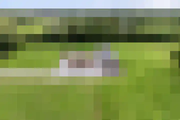 Hogeweg 23 Raalte thumbnail 50