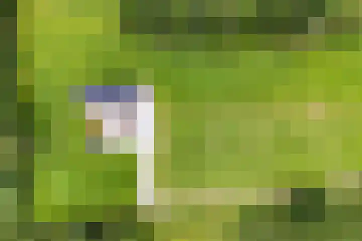 Hogeweg 23 Raalte thumbnail 51