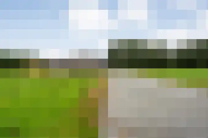 Hogeweg 23 Raalte thumbnail 53
