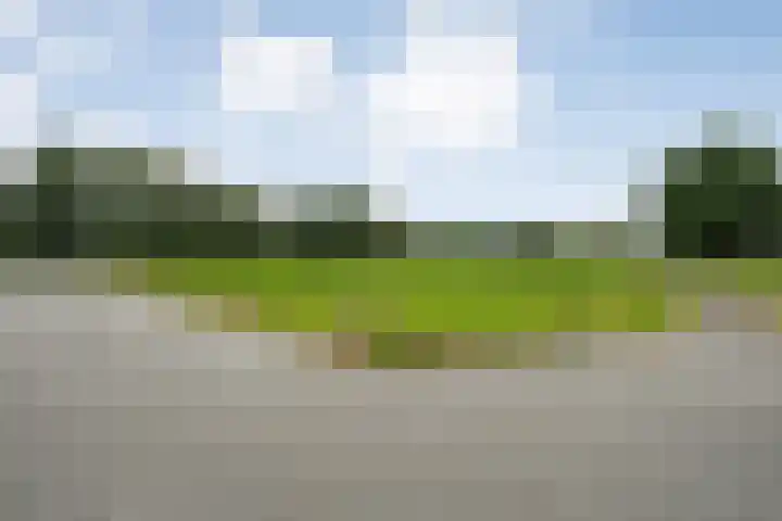 Hogeweg 23 Raalte thumbnail 54