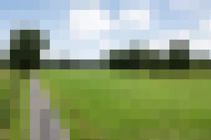 Hogeweg 23 Raalte thumbnail 6