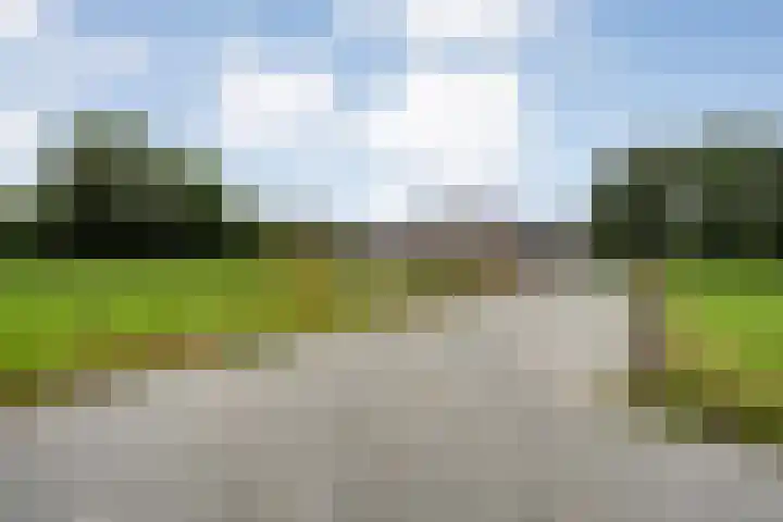 Hogeweg 23 Raalte thumbnail 7