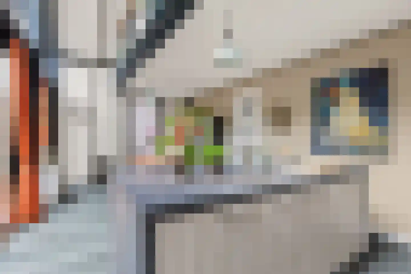 Hogeweg 239 B Amersfoort thumbnail 16