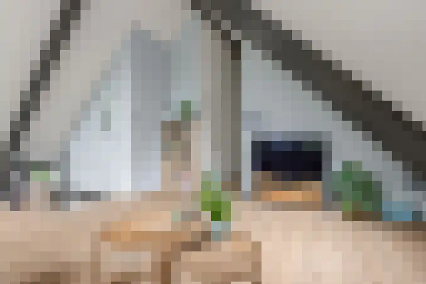 Hogeweg 239 B Amersfoort thumbnail 33