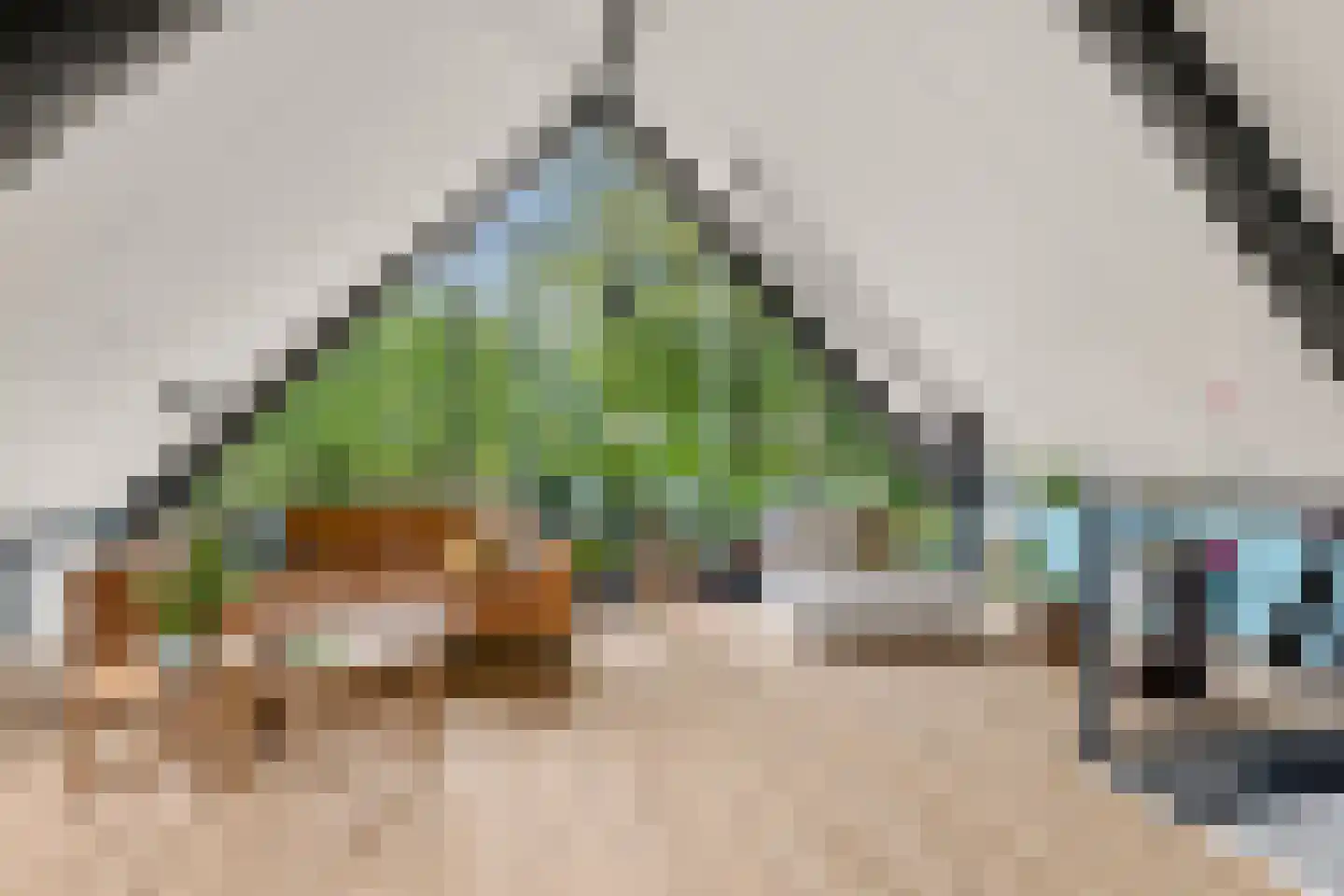 Hogeweg 239 B Amersfoort thumbnail 4