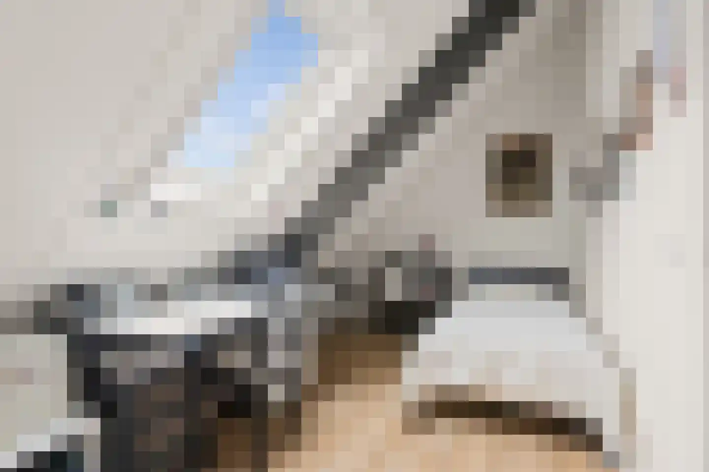 Hogeweg 239 B Amersfoort thumbnail 43