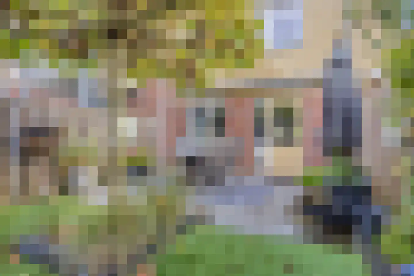 Hogeweg 24 Groesbeek thumbnail 31