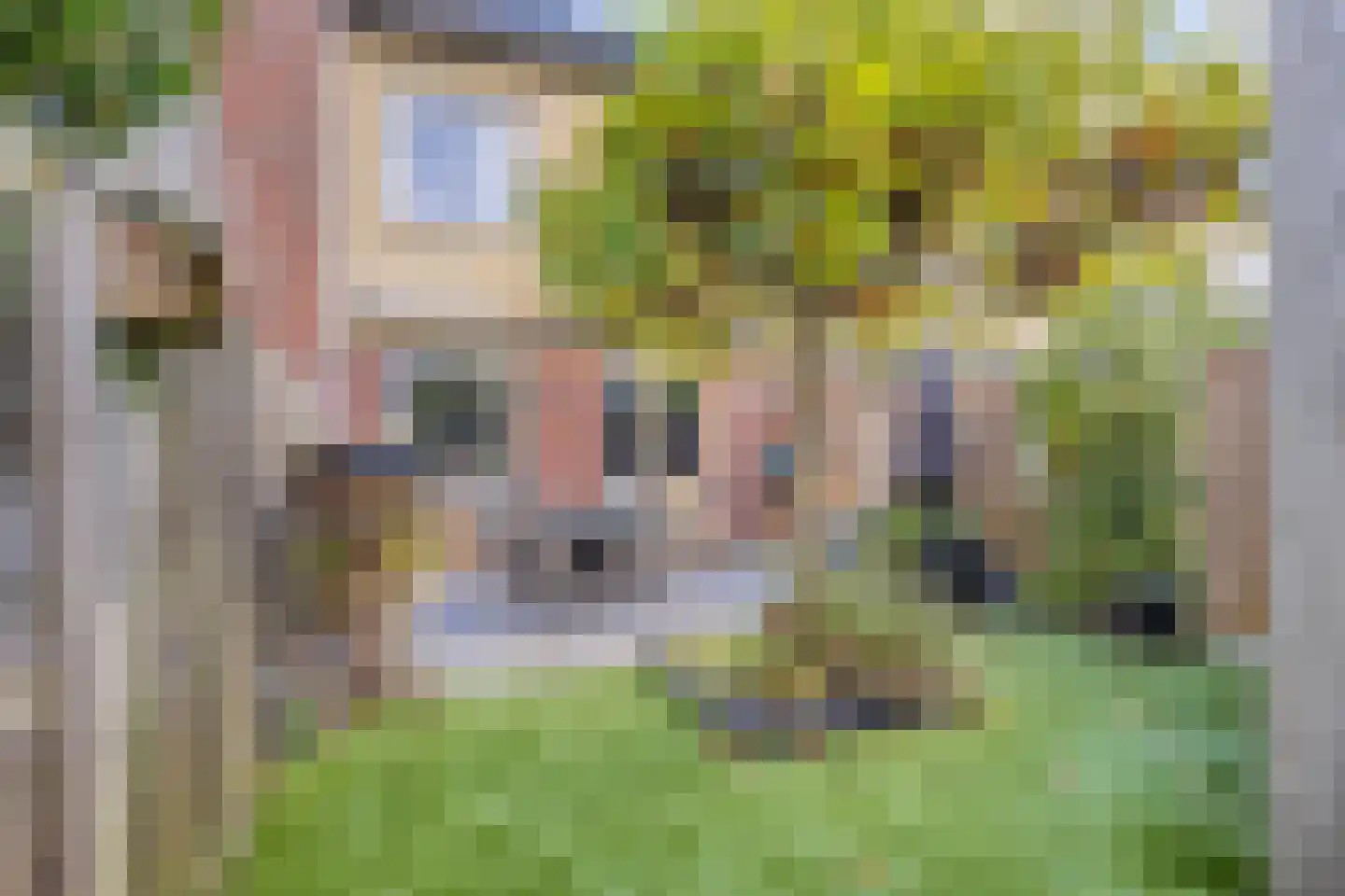 Hogeweg 24 Groesbeek thumbnail 4