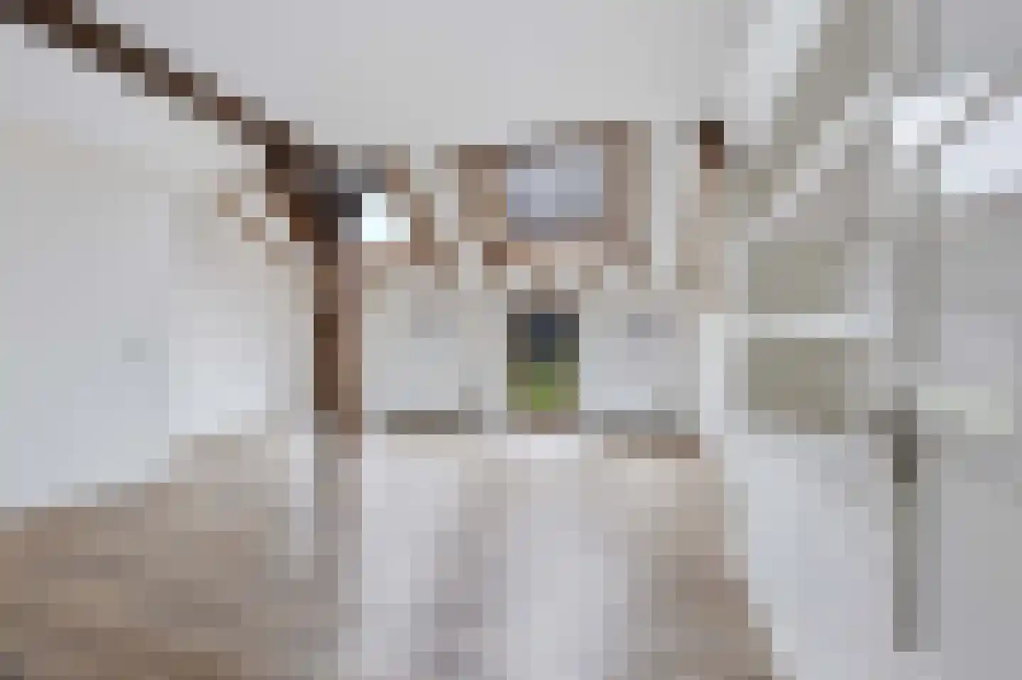 Hogeweg 247 Amersfoort thumbnail 10