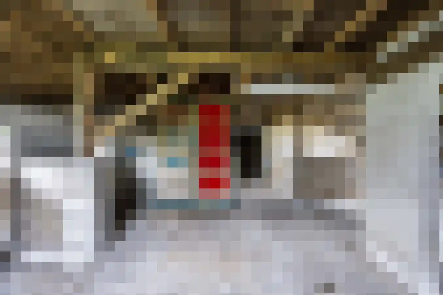 Hogeweg 247 Amersfoort thumbnail 52