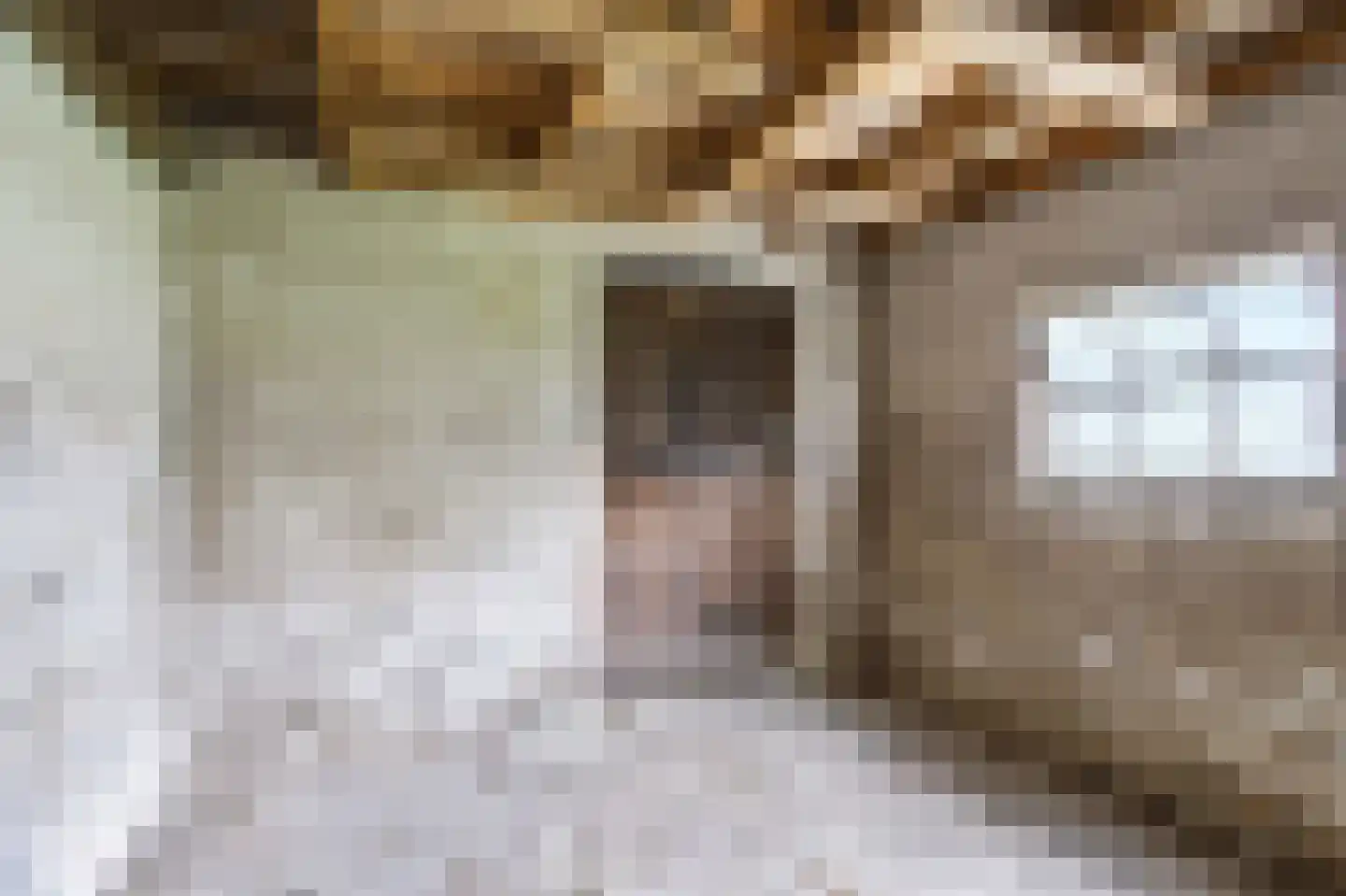 Hogeweg 247 Amersfoort thumbnail 53