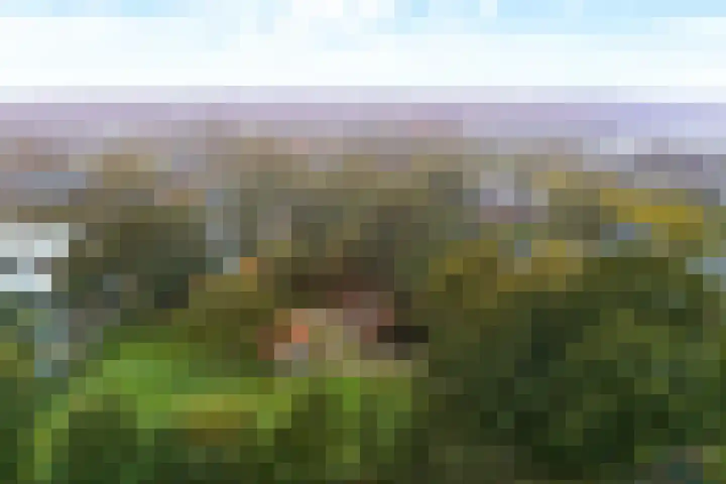 Hogeweg 247 Amersfoort thumbnail 56