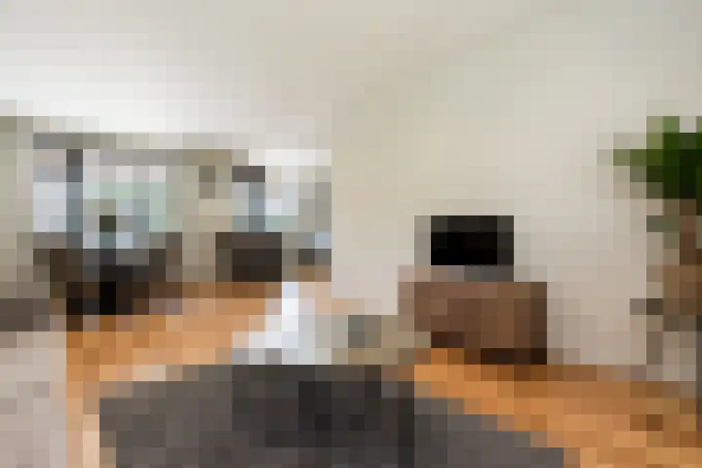 Hogeweg 25 Rossum thumbnail 12