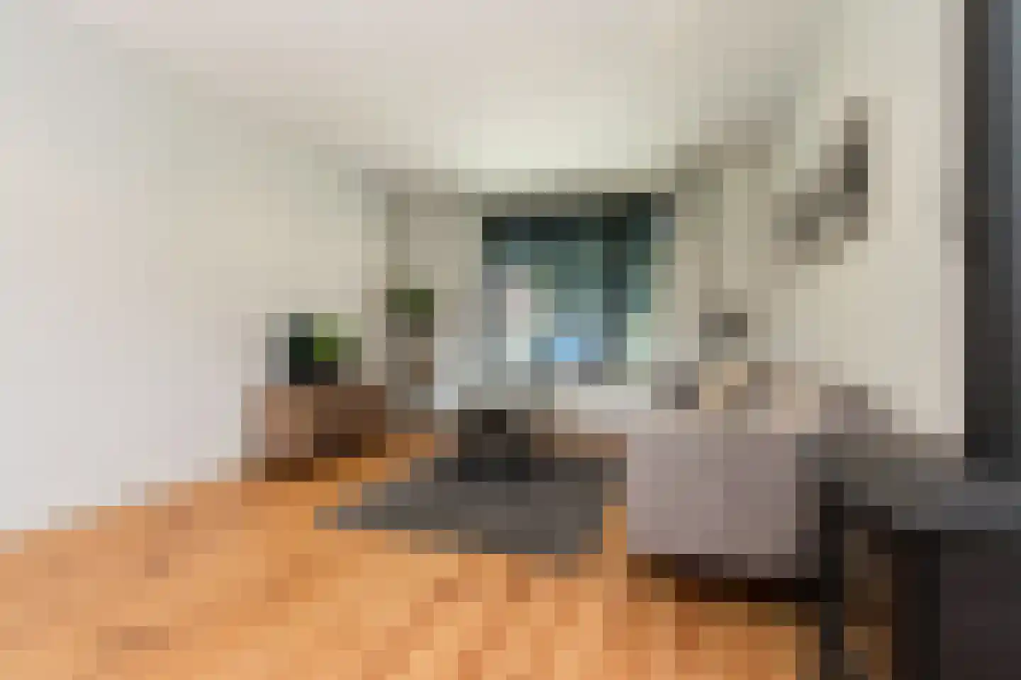Hogeweg 25 Rossum thumbnail 14