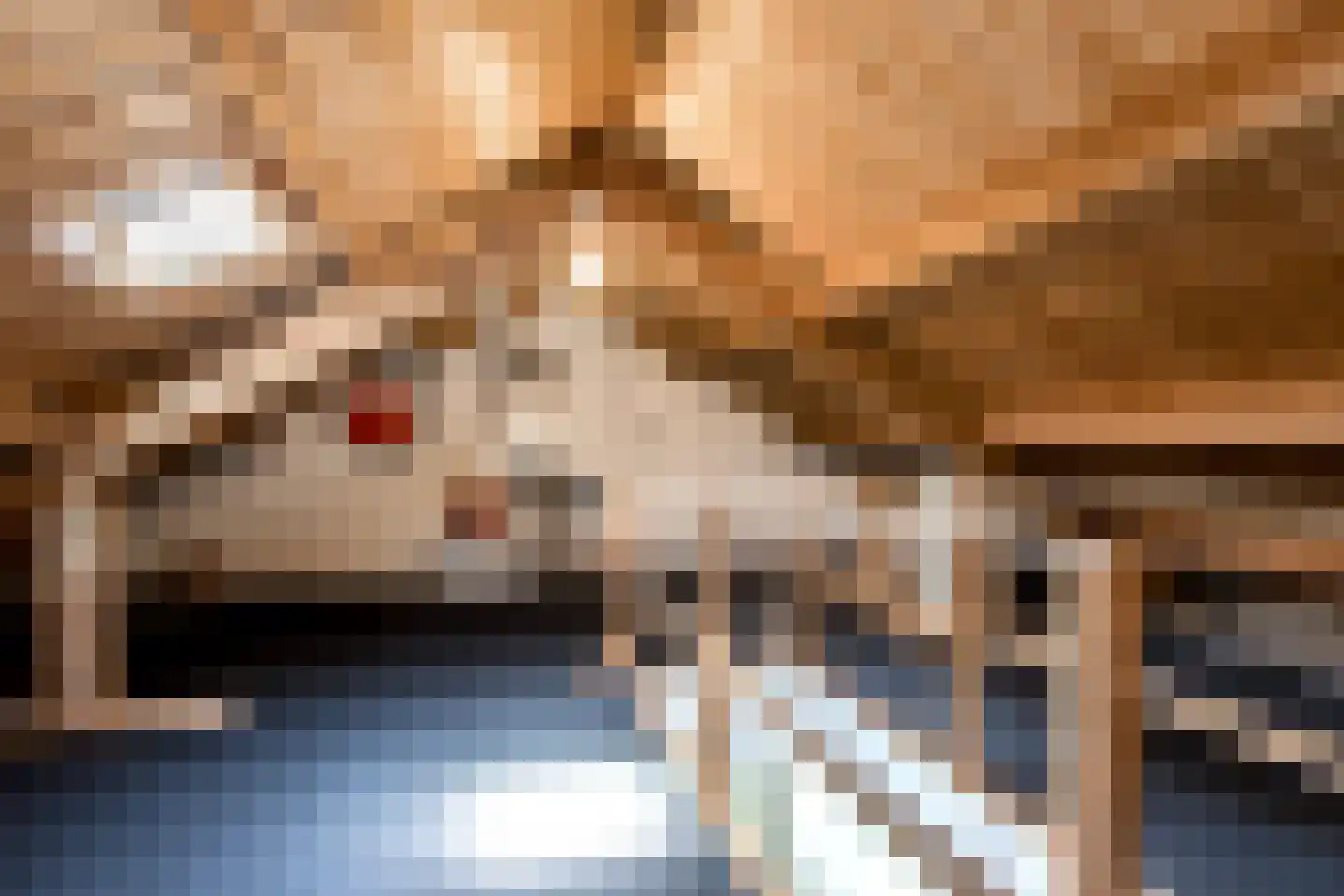 Hogeweg 25 Rossum thumbnail 33