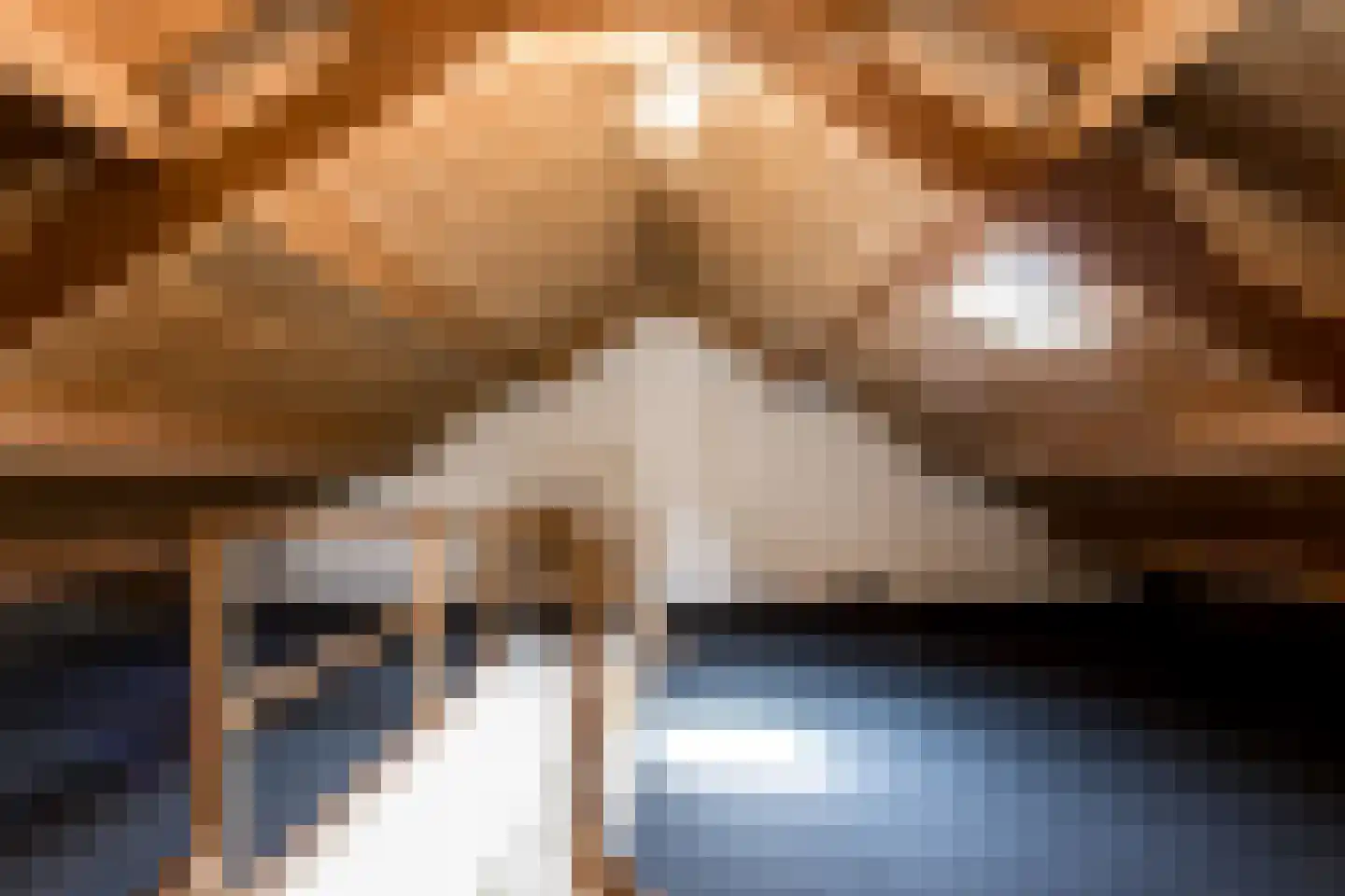 Hogeweg 25 Rossum thumbnail 34