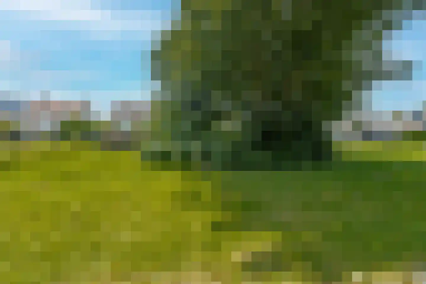 Hogeweg 25 Rossum thumbnail 44