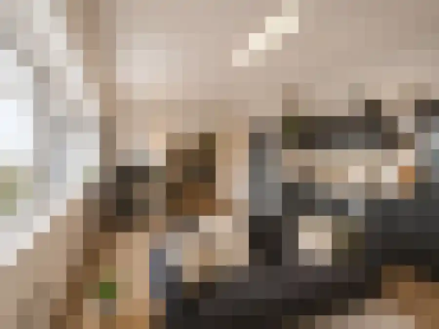 Hogeweg 27 Amersfoort thumbnail 4