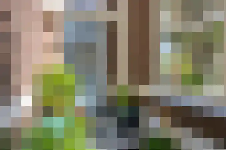 Hogeweg 27 Velp thumbnail 10