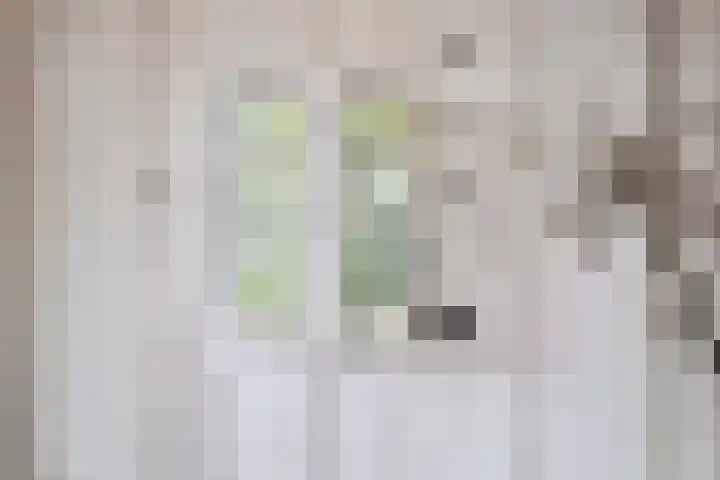 Hogeweg 27 Velp thumbnail 12