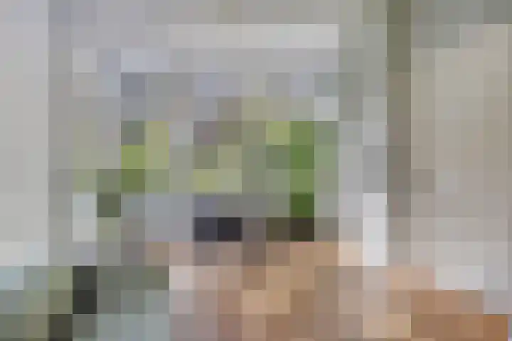 Hogeweg 27 Velp thumbnail 14