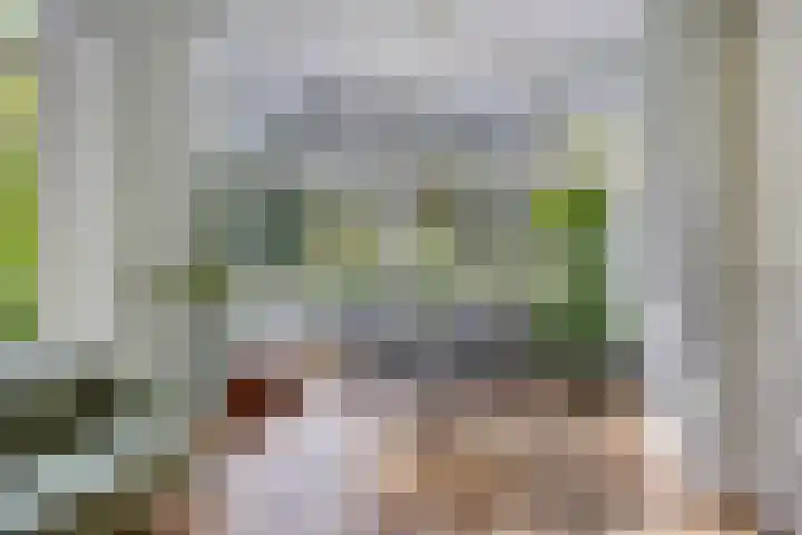 Hogeweg 27 Velp thumbnail 15